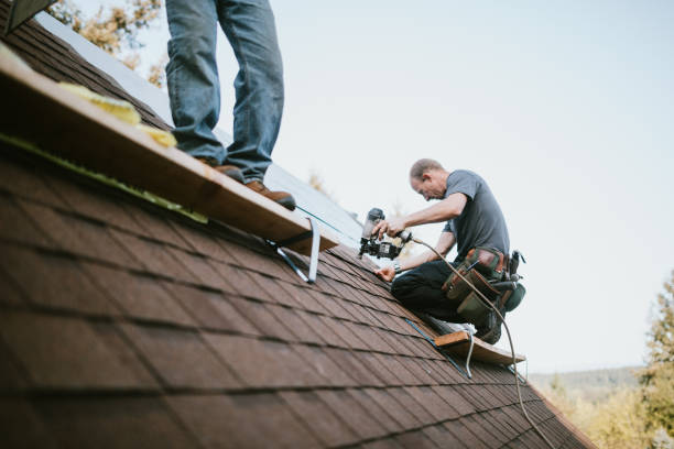 Roof Gutter Cleaning in White Meadow Lake, NJ